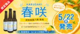 【この春リニューアル販売】春咲（はるさき）　5月22日（金）新発売！